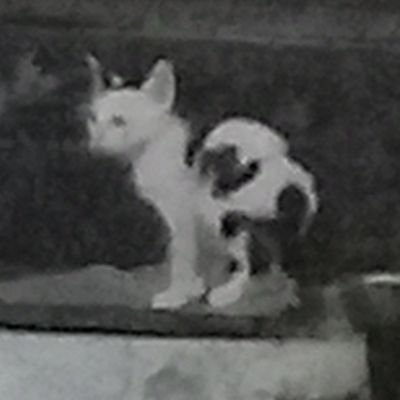 cromanoma372's profile picture. 