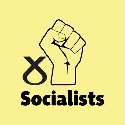 SNP_Socialists Profile Picture