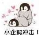 Rizwan45422376's profile picture. NFT Collector