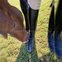 EquestriennesDiary (@dequestriennes) Twitter profile photo