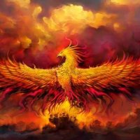 Phoenix 🔥 (@phoenix23593204) 's Twitter Profile