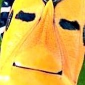 mythbustingnuts's profile picture. 