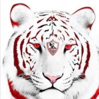 السمالوطي (@lsmlwy1) 's Twitter Profile