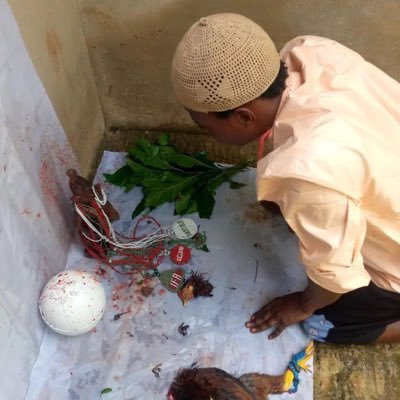 Babalawo_ifaase's profile picture. @babalawo_ifaase from irete temple helping people to solve problem📿do reading📿sacrifices📿love📿pregnant📿prison📿cases📿protection📿teaching📿 sell orisha