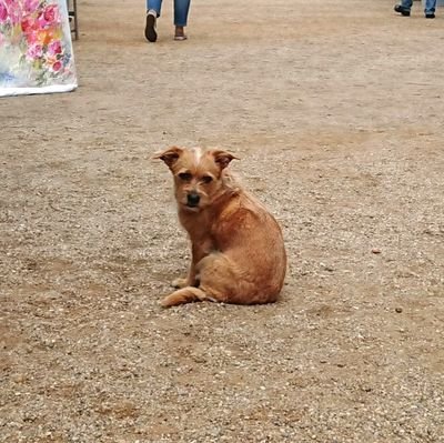 fatna_ked's profile picture. Willkommen im Grünen!
Miss Minze - Gärtnern in Zeiten des Klimawandels, 
Support: https://t.co/I1wTizFBCY