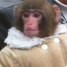 ashzini's profile picture. here to jam, phish, Grateful Dead | he / him