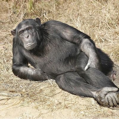 mariappglz's profile picture. 