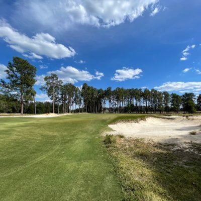 jimflowers215's profile picture. 