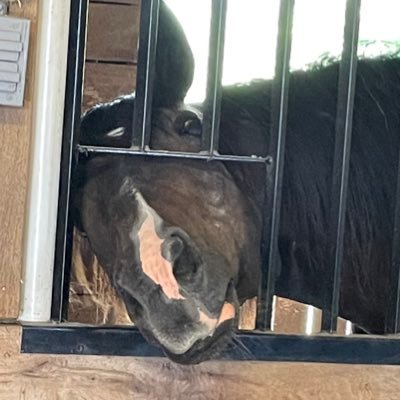 techgeek1369's profile picture. 