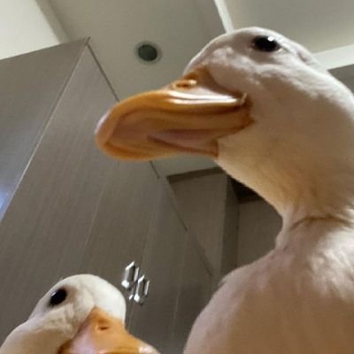 __Moon_shine's profile picture. cansada de existir e apenas sobrevivendo