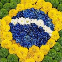 @Bonoro (@bonoro2023) 's Twitter Profile