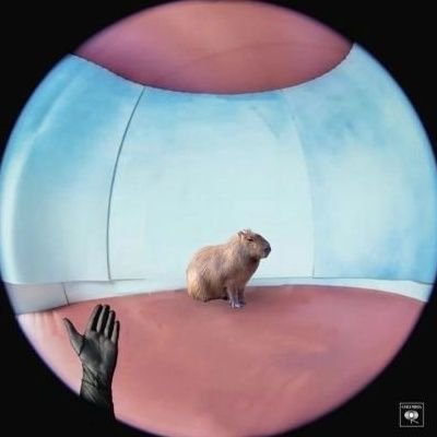 chuzuwano's profile picture. CEO de playa %@$#! | caribeño de corazón