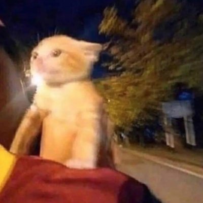 l0ndacsgo's profile picture. 23 y/o trashcan with beard. | playink Csgo very good