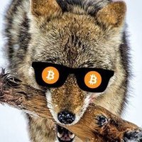 ₿ITCOIN COYOTΞ 📈(@BitcoinCoyote) 's Twitter Profileg