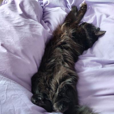 annamaywong58's profile picture. 