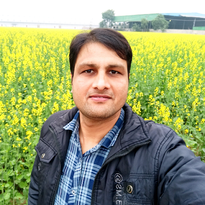 ykdhiman07's profile picture. 