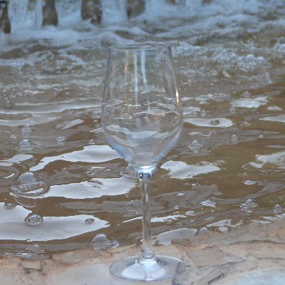 camachocorreia's profile picture. 