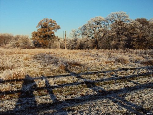 AnneEliseHansen's profile picture. 