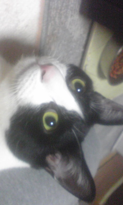 naramanto's profile picture. ♡