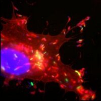 UoNBioscienceCareers (@uonbioscicareer) 's Twitter Profile