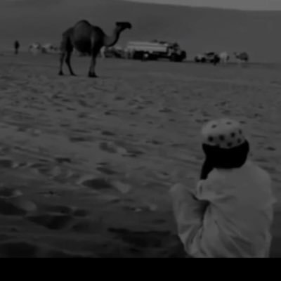 Mohamme4100's profile picture. 