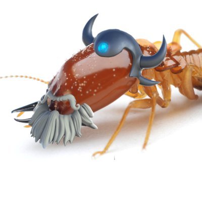 Master Eon Termite