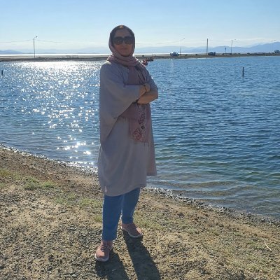 sokotepor1's profile picture. دکترای مهندسی شبکه های کامپیوتری