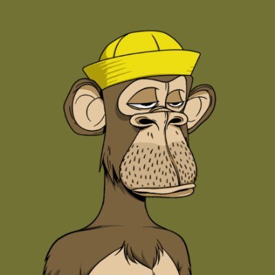 mrshimul69's profile picture. 