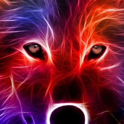 ArcheyDanney's profile picture. bl fan. fan of zeenunew/jeffbarcode. girl/17.