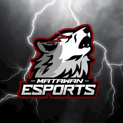 Official account for the Matawan Aberdeen Regional School District ESPORTS programs.