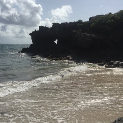 Raiiiiiponce's profile picture. 