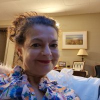 assis carreiro (@assiscarreiro1) 's Twitter Profile