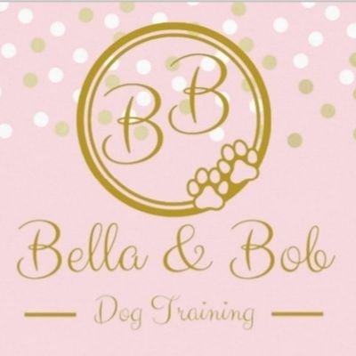 I'm a dog trainer with many years experience with dogs of all sizes.  Previous breeder of Pyrenean Mountain Dogs for show now breeding Chihuahuas.