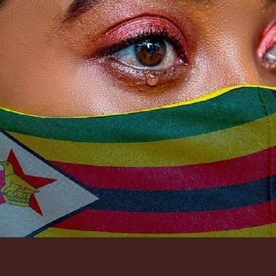 Human Rights Defender. Zimbabweans have suffered enough💔 / LIVERPOOL and KAIZER CHIEFS FAN.🐃-🐊A True mix-breed !!