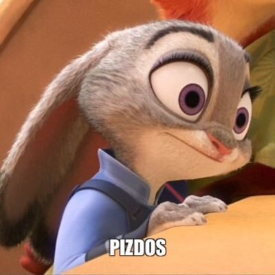 _surykat's profile picture. 