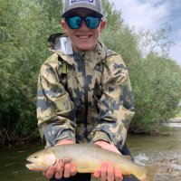 Bay Wallace (@baywallace) 's Twitter Profile