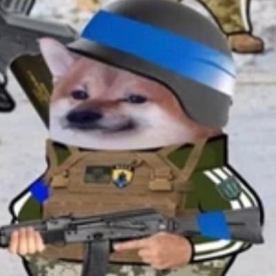 theAndiL's profile picture. Bye, #fElon.  I'm over the rainbow, at  Andi_in_Oz at noc dot social 🐘🐘a p p.  3rd Gen 🇺🇸 w/ 🇱🇹🇺🇦🇧🇾 roots. #Tech #Ukraine  help Ukraine: https://t.co/c6oEErrq4h