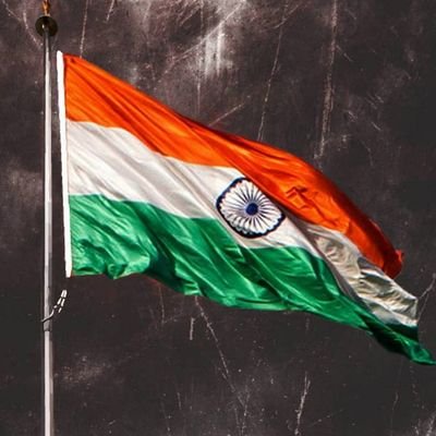 Ary24j's profile picture. Cricket and Shayari