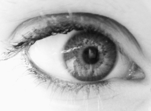 Alice_bosma's profile picture. pers. cap. | she/her