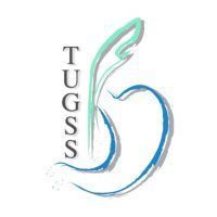 TUGSS (@t4ugis) 's Twitter Profile