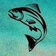 🦈 | Daily #Photo and #Videos #Follow us
🔔 | Turn On #Post Notification
IG @drinkfishing__