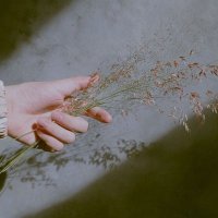 iman alassar (@imanalassar) 's Twitter Profile