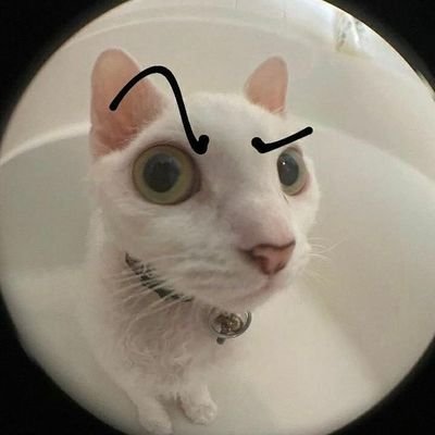 DreamSM99926659's profile picture. hiiiiiii