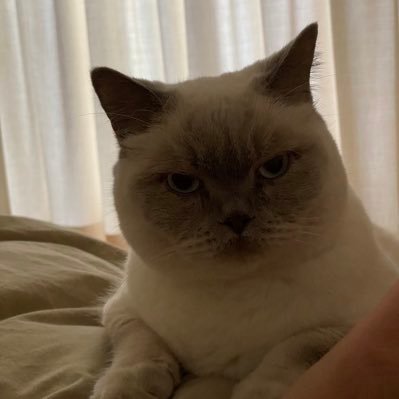 YunfeiLi_Dylan's profile picture. Deaign is a solution to the future