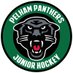 Pelham Panthers (@Panthers_Pelham) Twitter profile photo