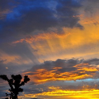 HX2788's profile picture. . https://t.co/SZ8zVYuuJg