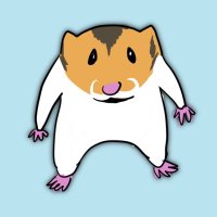 ハムしお (@rumiavsshota) 's Twitter Profile Photo