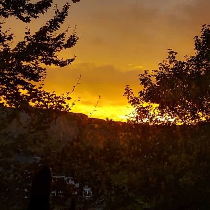 ThomasFicker10's profile picture. 