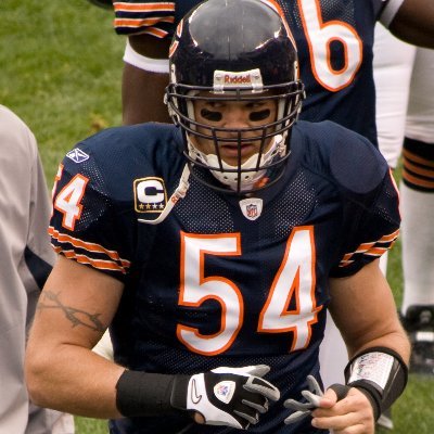 Chicago Bears Linebacker (jk)