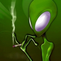 apiary77's profile picture. 